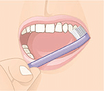 Illustration of proper toothbrush technique brushing upper teeth at an angle.