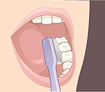 Toothbrush cleaning upper teeth with proper brushing technique demonstration.