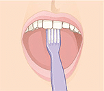 Illustration of proper toothbrush technique on upper teeth during dental hygiene routine.