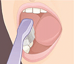 Illustration of proper toothbrush technique on lower teeth and tongue.