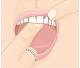 Illustration of proper dental flossing technique between upper teeth.