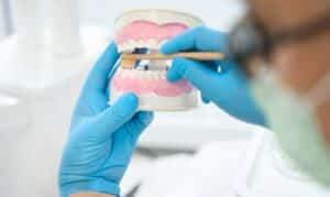 Dentist in blue gloves examining dental model with brush in clinical setting.