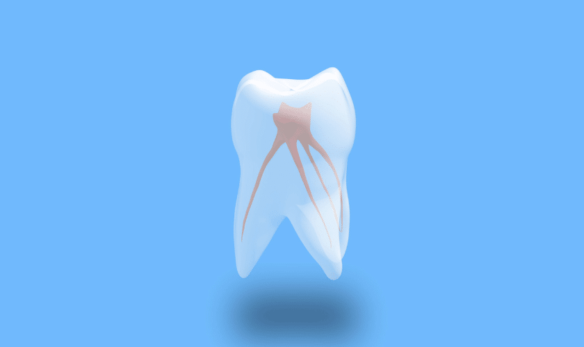 Endodontic Treatment Tullahoma